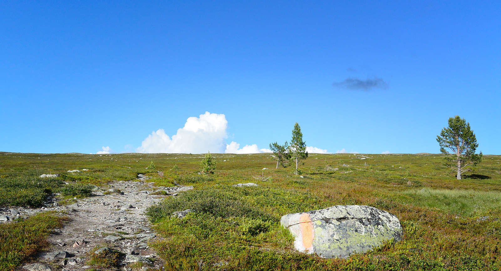 Lätt att navigera. Vandringslederna är tydligt utmärkta och lagom upptrampade.