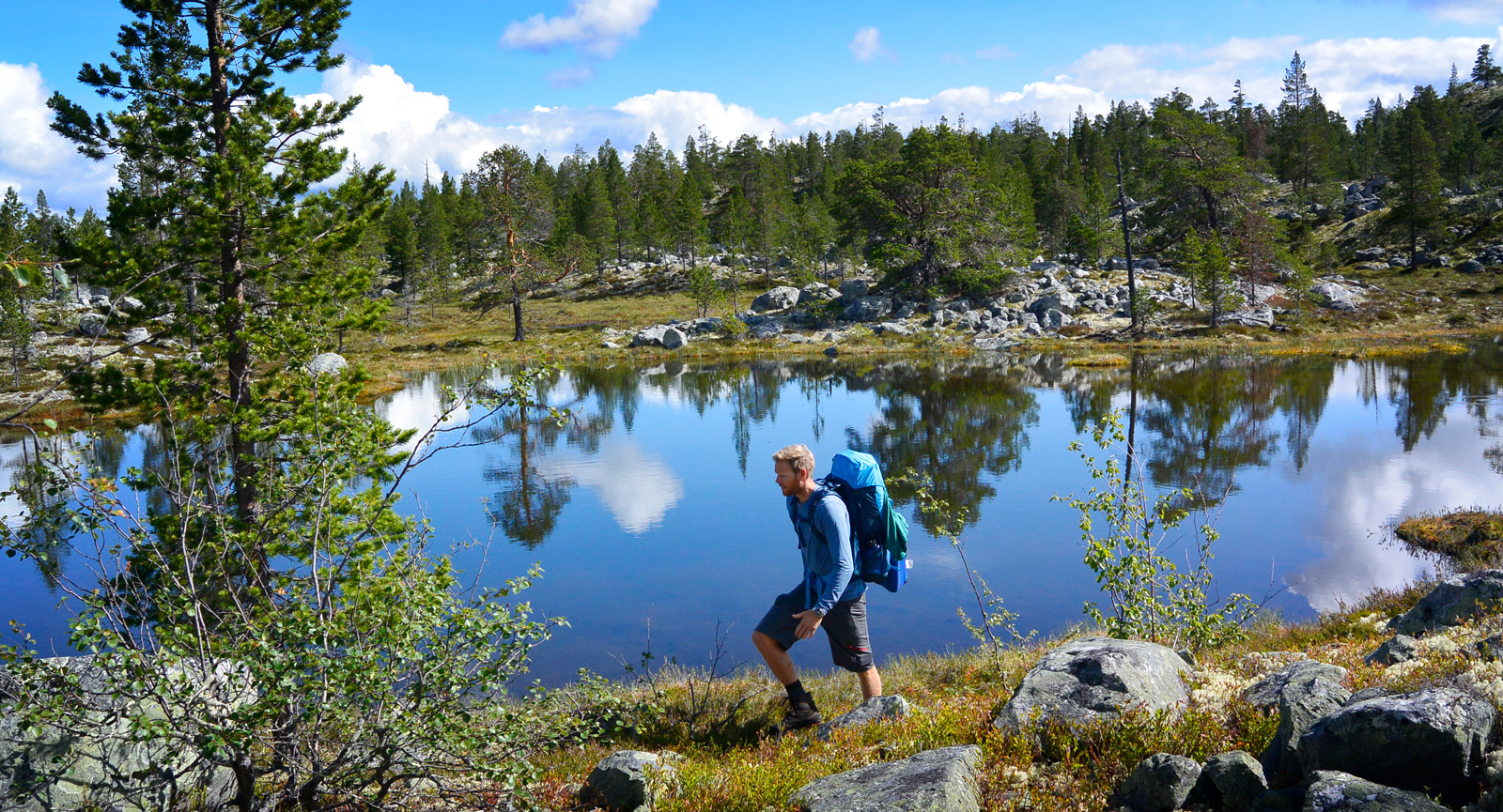 Rogivande vandring genom ett orört skogslandskap.
