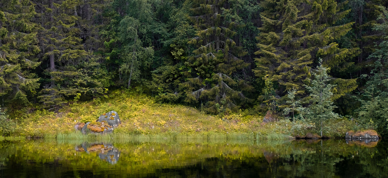 Lugnet, tystnaden och orörd natur. Goda anledningar att bege sig iväg ut.