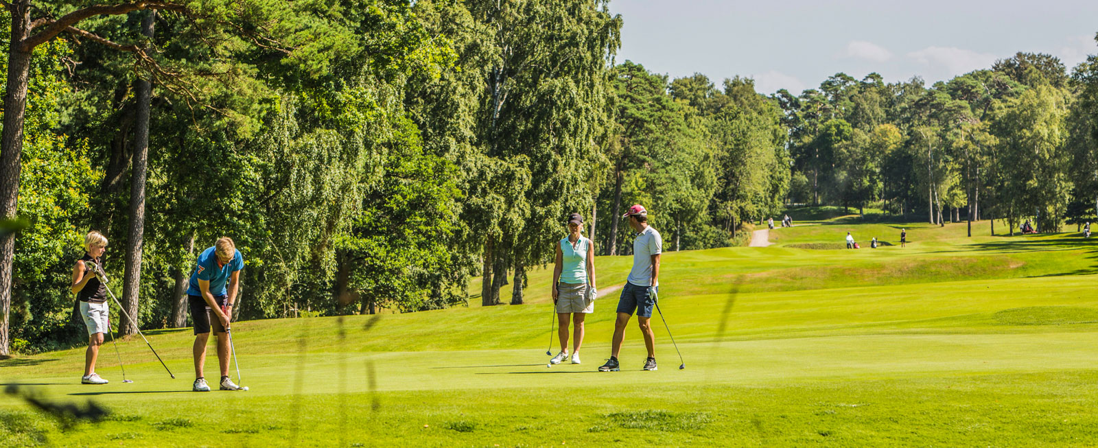 Golfaren kan ha stor glädje av semester i Tylösand, då hela sju banor finns inom två mils avstånd från campingen. (Per Nilsson foto).