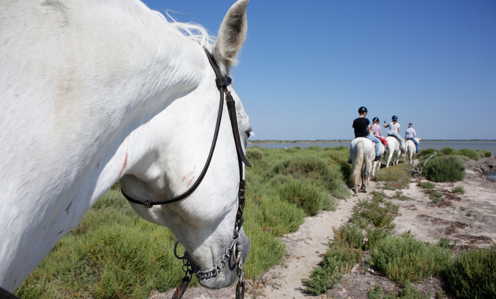 Fantastisk ridning mitt i Västeuropas största deltaområde, Camargue.