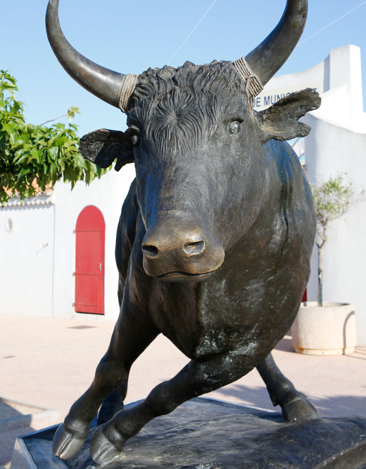Camargue - galopp i franska vidder