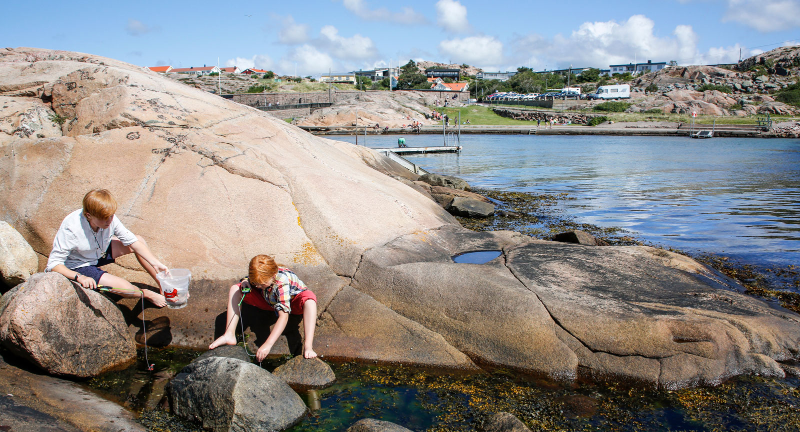 Följ med på strandskolan eller rota runt bland blåstången på egen hand.