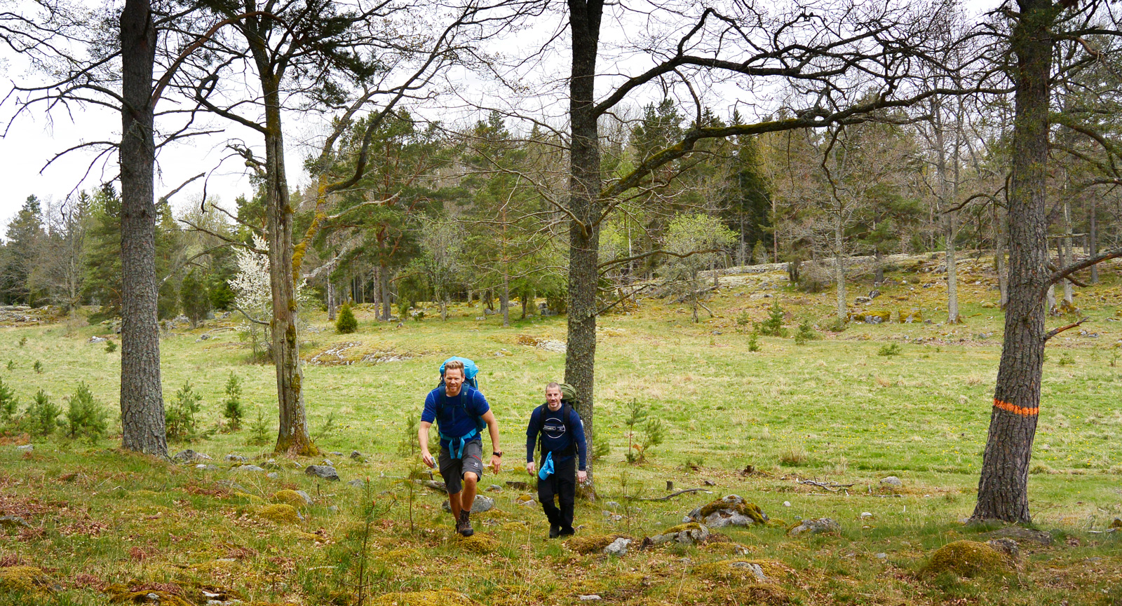 Upptäcksfärd i Östergötlands naturreservat