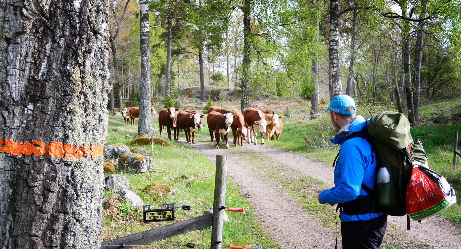 Upptäcksfärd i Östergötlands naturreservat