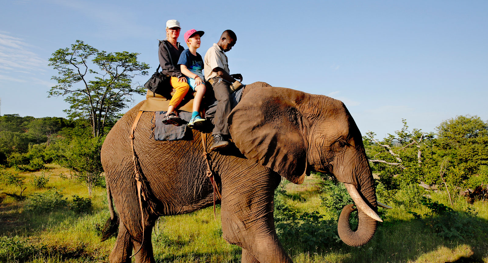 Det blir många äventyrliga inslag för familjen och mankhöjden på en elefant är inget för ryttare med höjdrädsla.