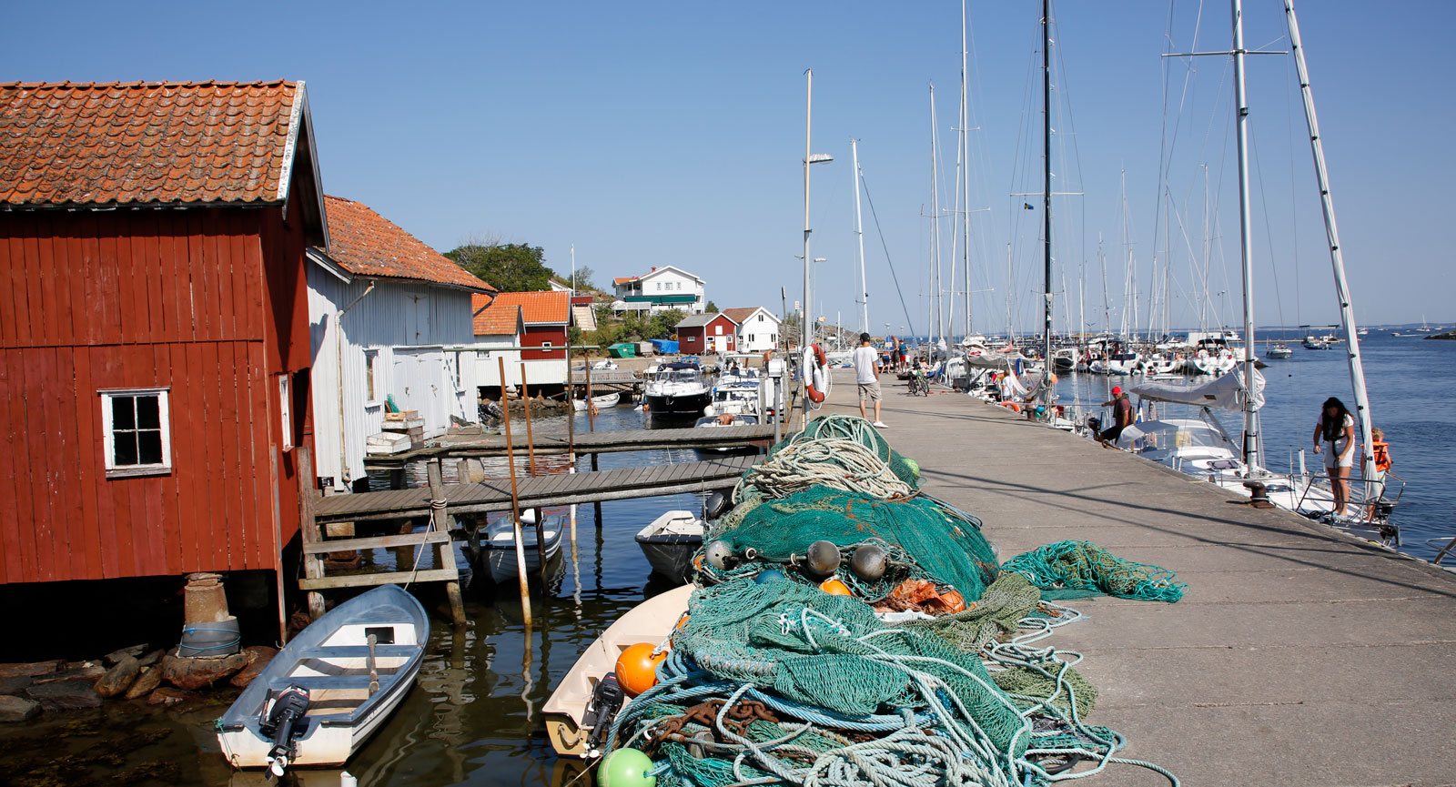 Vackra Sydkoster Ekenäs.