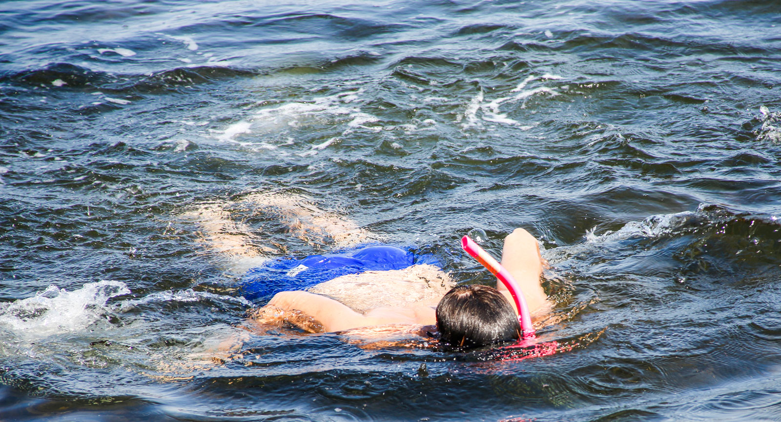 Det är underbart att snorkla och se en helt ny värld under ytan.