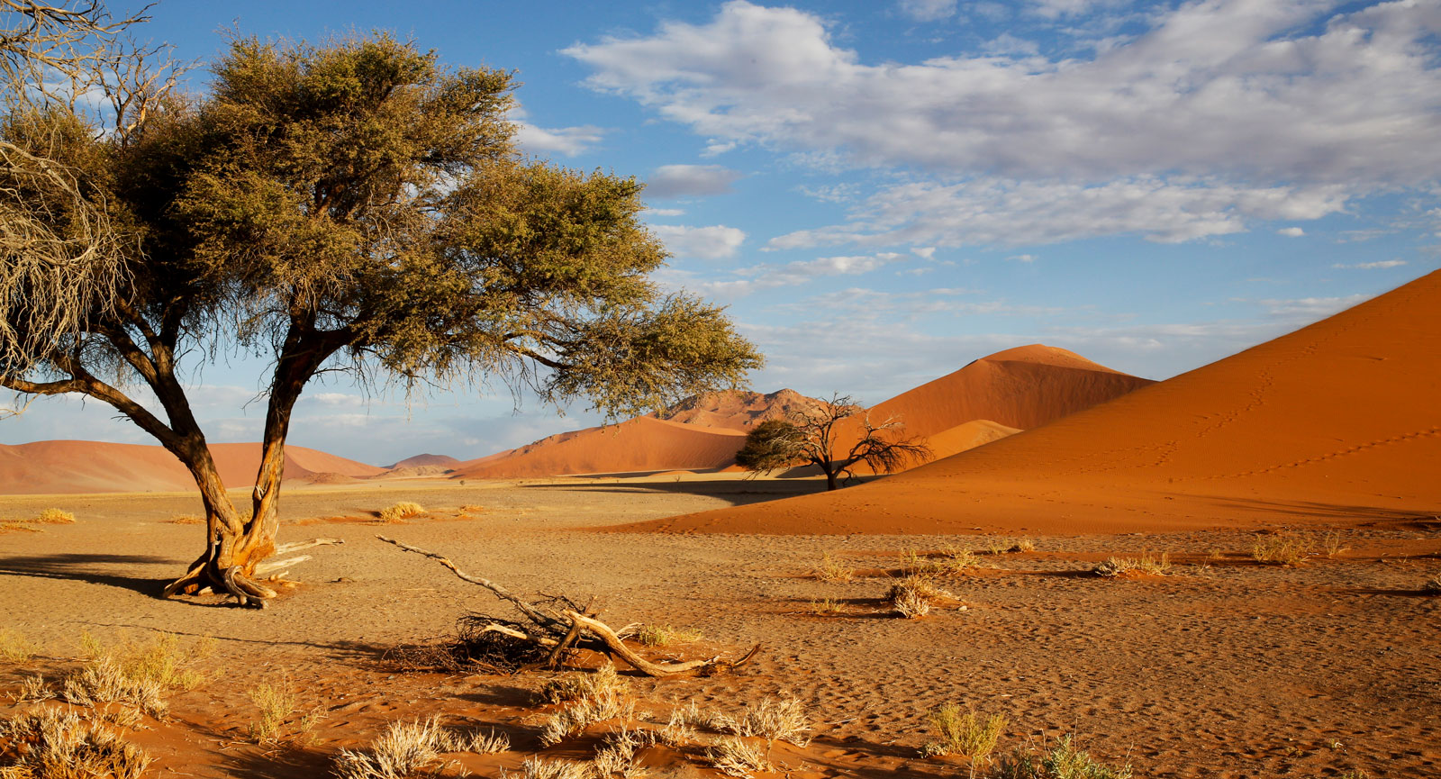 Enorma hav av sand och salt i den uttorkade sjön Sossusvlei i den södra delen av Namiböknen.