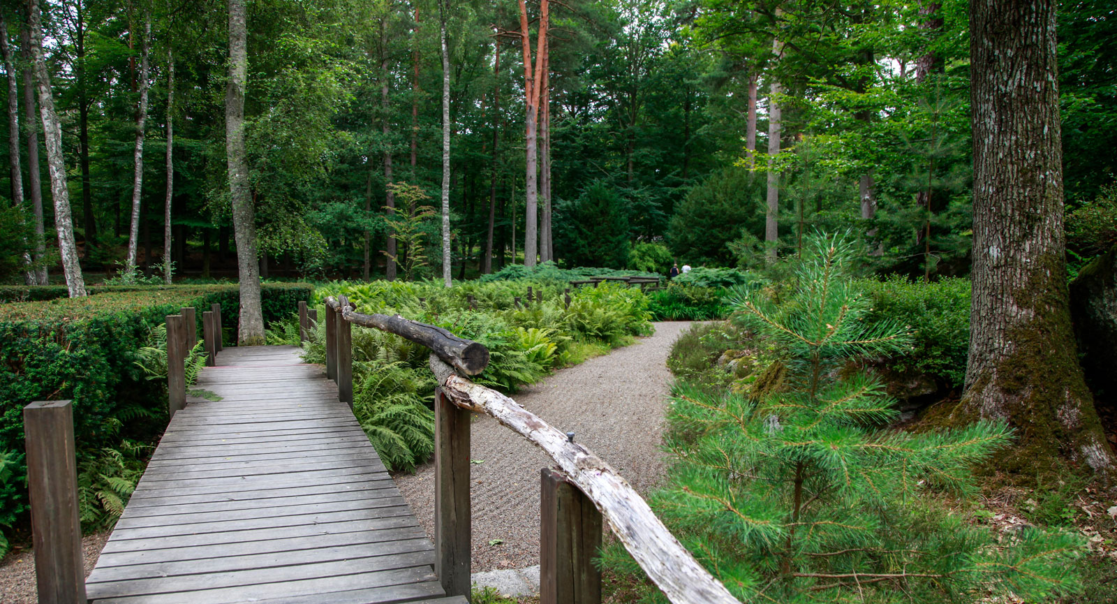 Japanska trädgården är lugn och fridfull mitt i skogen.