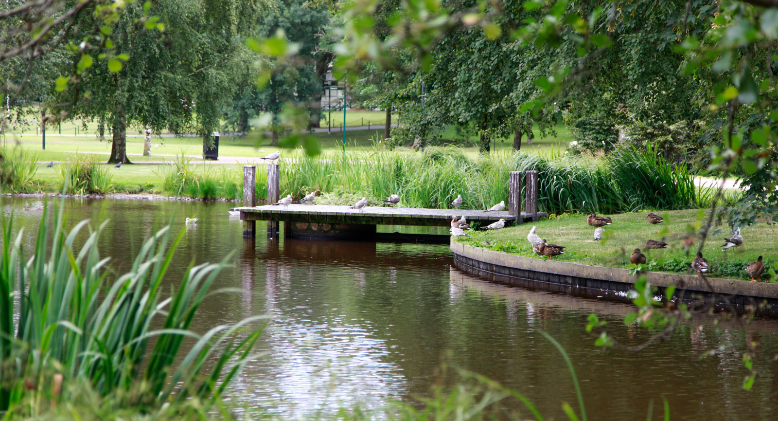 En av dammarna nära entrén till Brunnsparken.