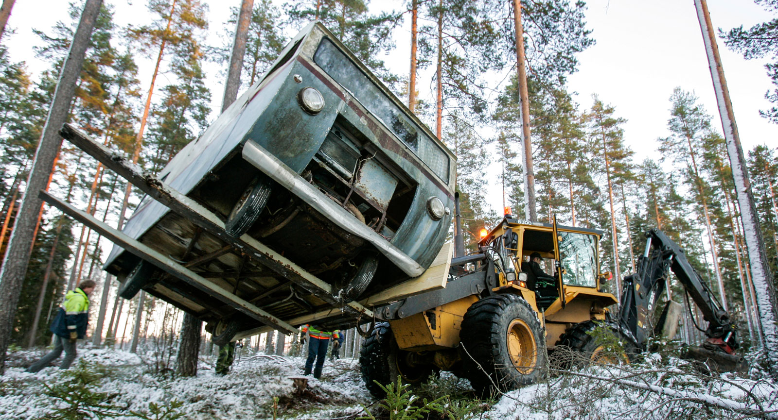 Ett gigantisk skogsmonster räddar den sköra, döende fågelungen med ömma gripklor. Ett vackert ögonblick. Vuxna mäns