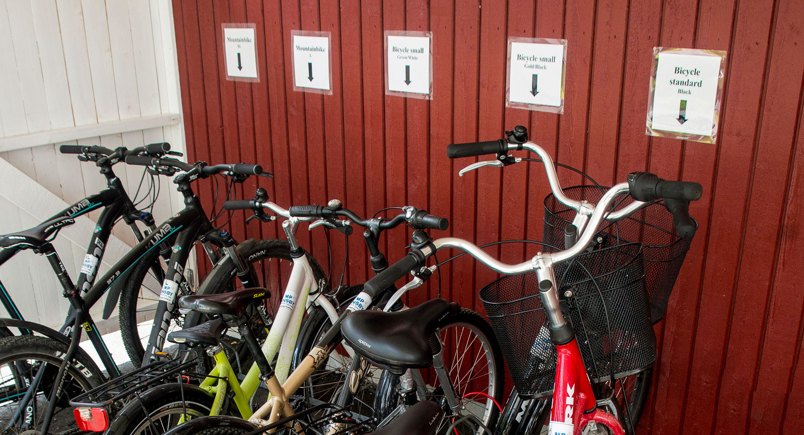Cyklar finns att hyra för utfärder på vindlande skogsvägar.