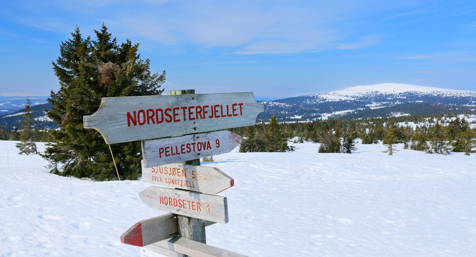 Riktning. Det är bra skyltat på fjället.