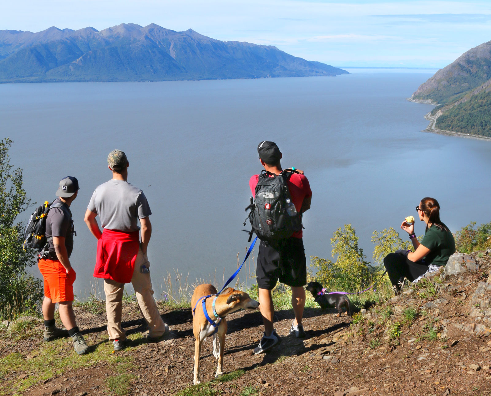 Vandring med vyer längs Bird Ridge Trail.