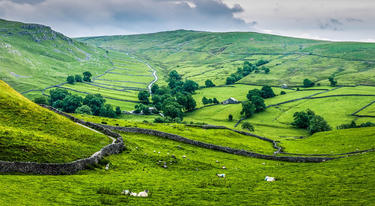 Bildcred: Pixabay / TimHill