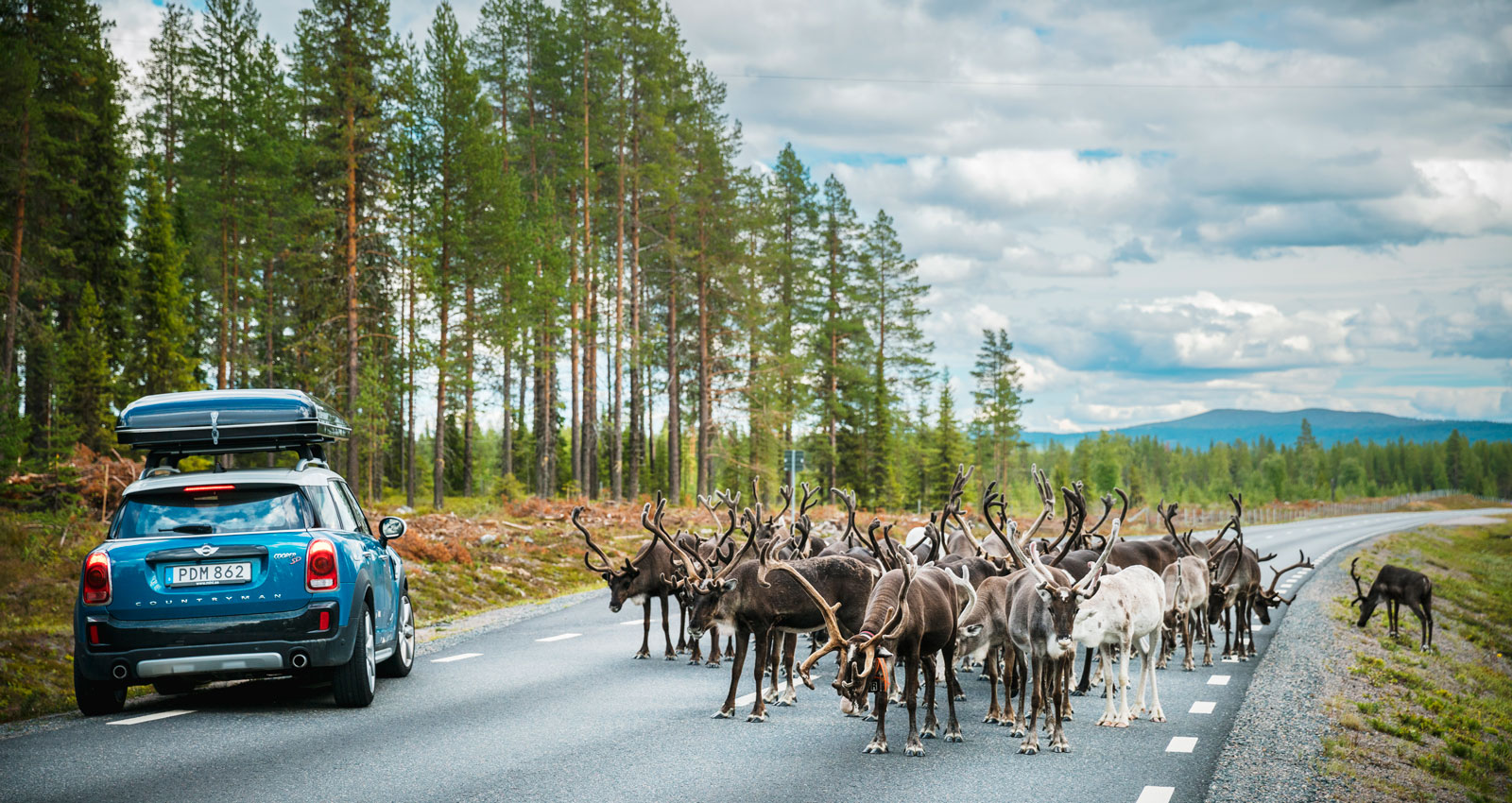 Se upp för vajarna, sarvarna, spillrenar och håll ut i vägrenen om så krävs.