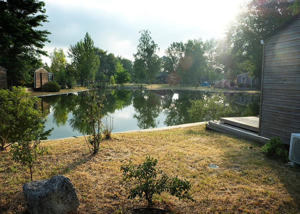 Morgonsol vid en av campingens dammar.