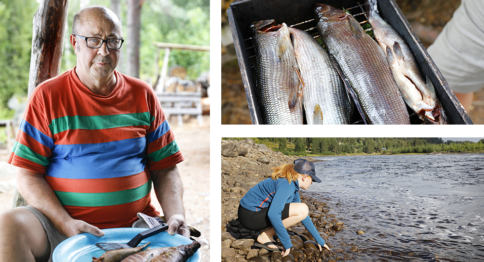 Vid ett vindskydd i Dalarna träffar vi Kari som fiskat harr utanför Kiruna i sex veckor och nu är på väg söderut. Givetvis bjuder han på nyrökt fisk. Det är socialt att söka sig utanför campingplatserna. || I naturen frodas kreativiteten och barnen hittar nya saker att upptäcka.
