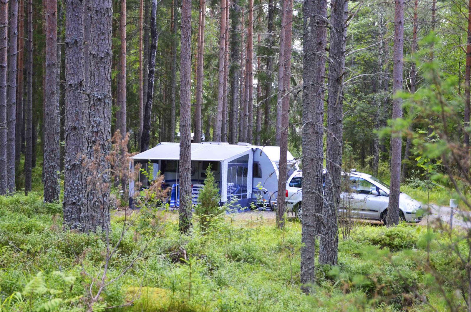 På Glaskogens vildmarkscamping kan du hålla dig avskild i en egen glänta.
