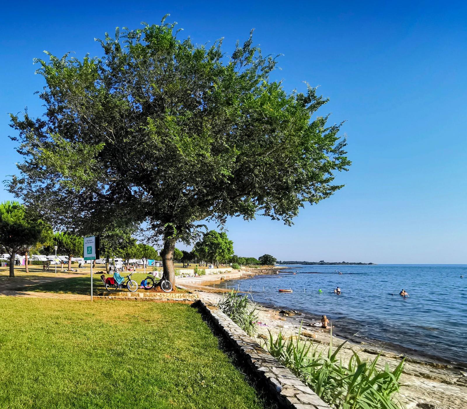 Campingens gräsyta går ända fram till havet. Strandpromenaden intill är populär.