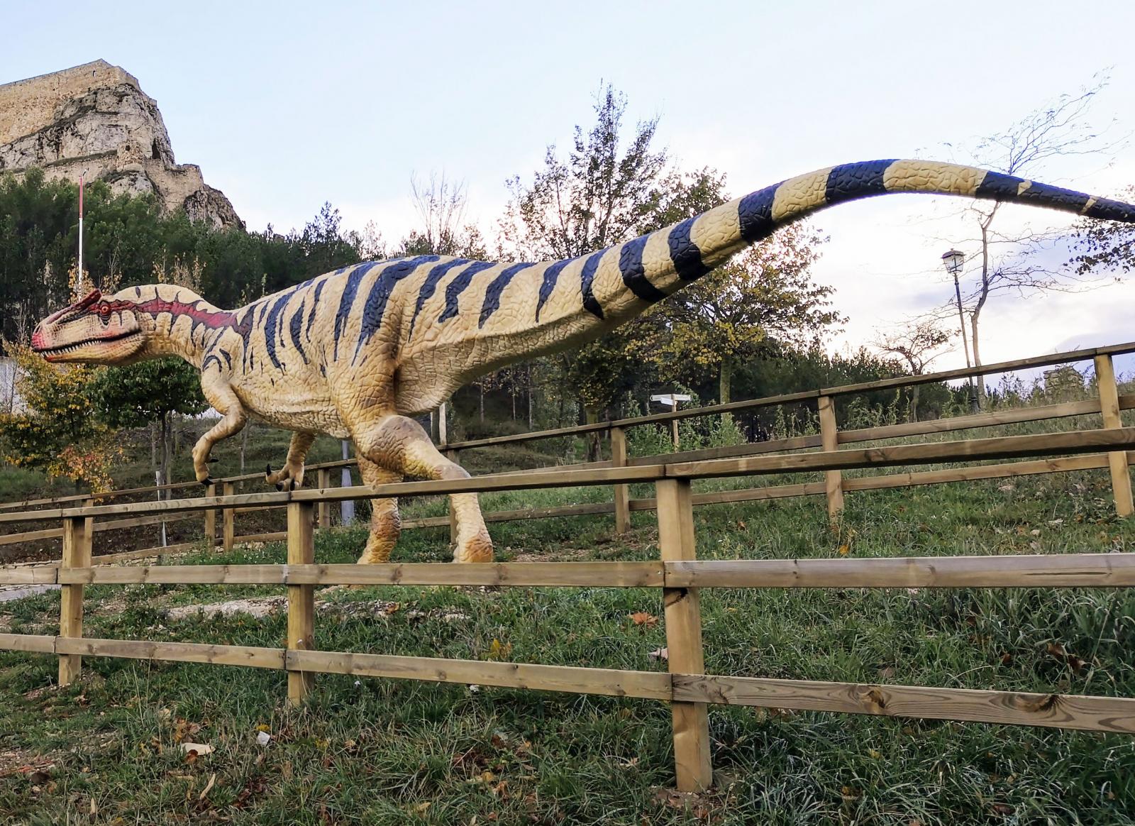 Arkeologer har hittat flera fynd och lämningar från dinosaurer i och runt Morella. Därför finns här ett museum med utställning i ämnet.