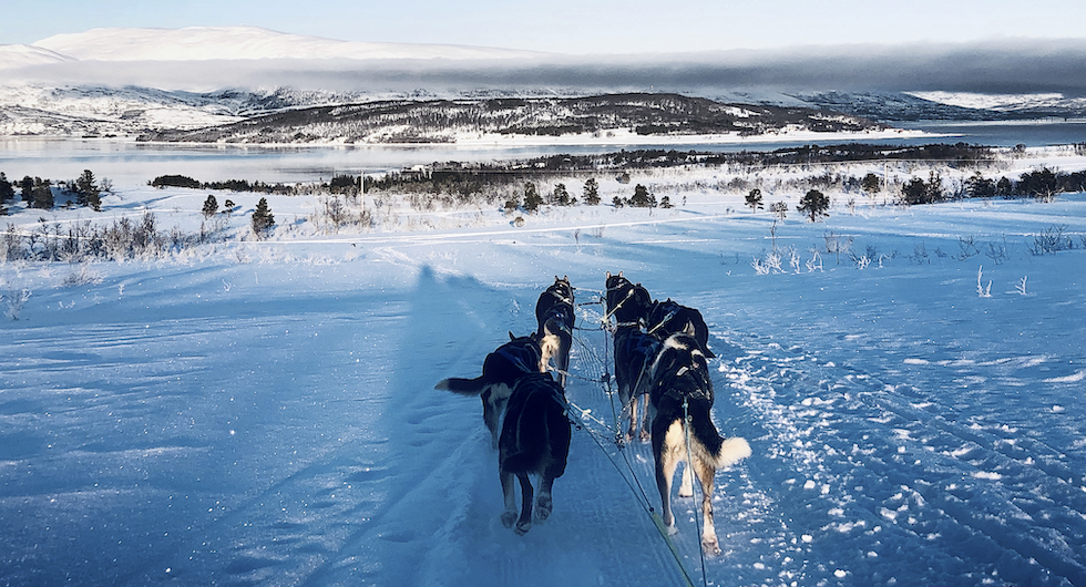 Häftigare än så här kan det knappast bli. Rimfrost, sol och en ångande fjord.