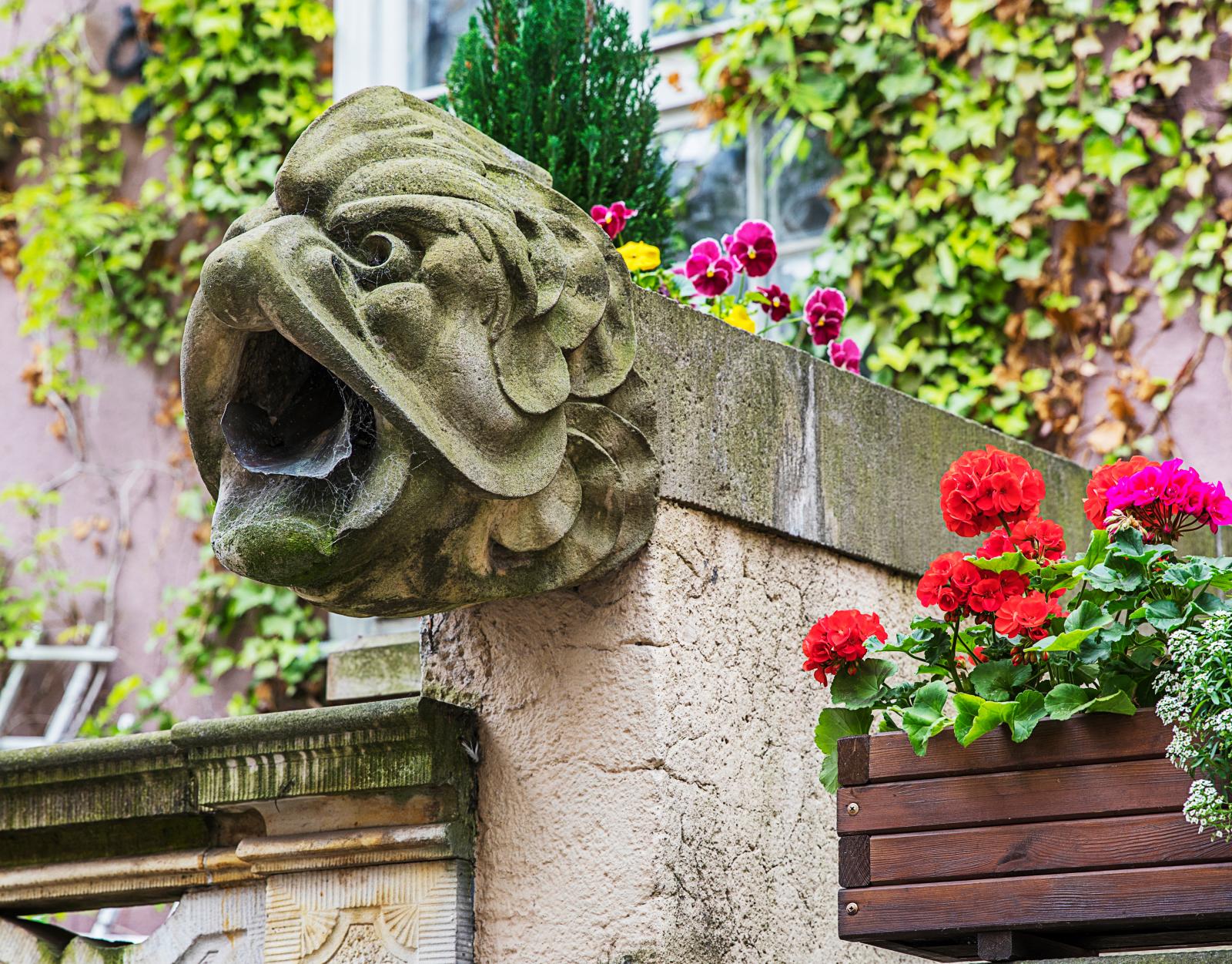 Så kallade gargoyles (vattenkastare) finns det gott om på Ulica Mariacka i Gdańsk.