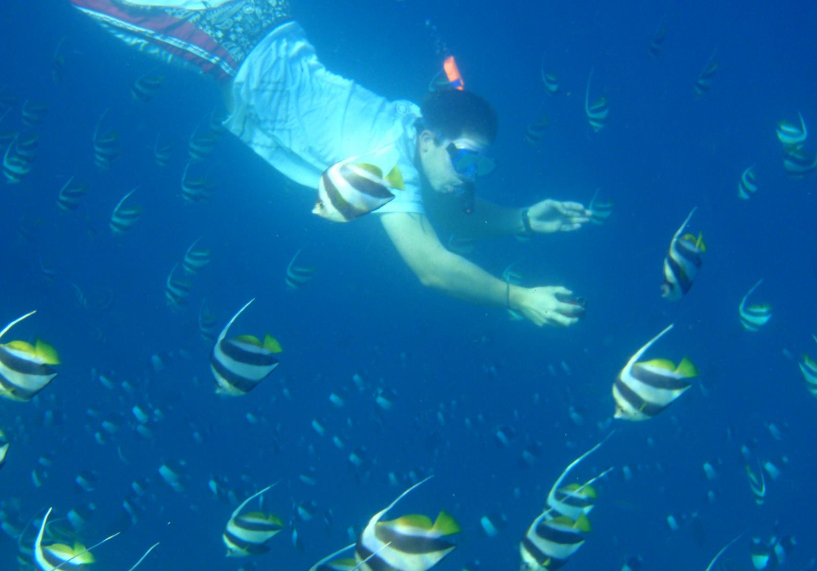 Mellan dykturerna ägnar de sig åt snorkling bland fiskarna.