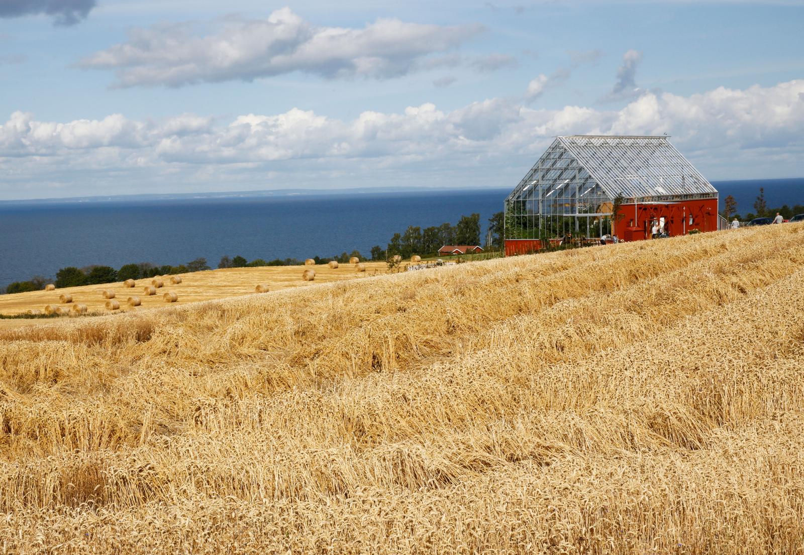Resa: Östra Vättern