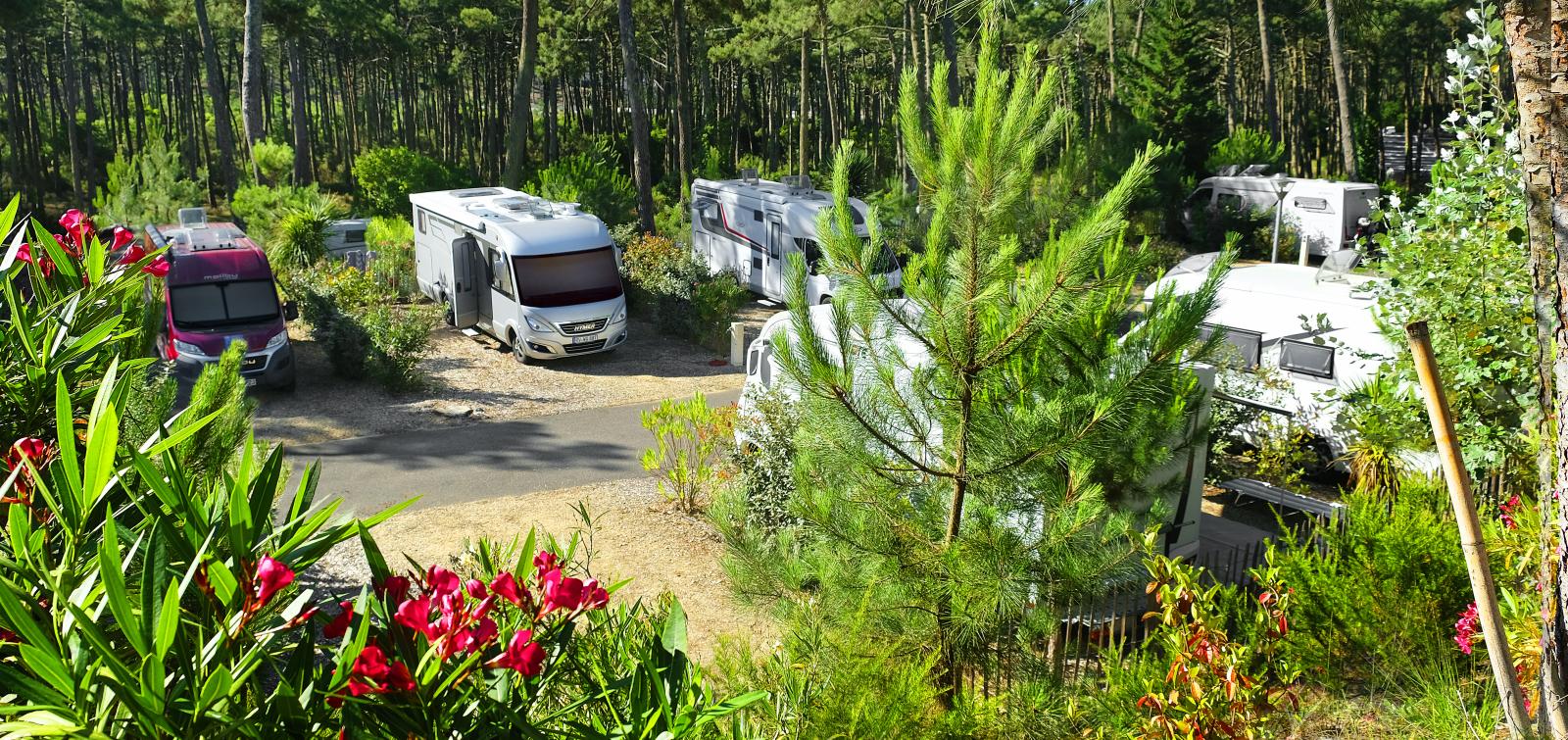 Med husbil kan du välja mellan att stanna till på campingar med full service eller på en enklare rastplats invid en sjö.