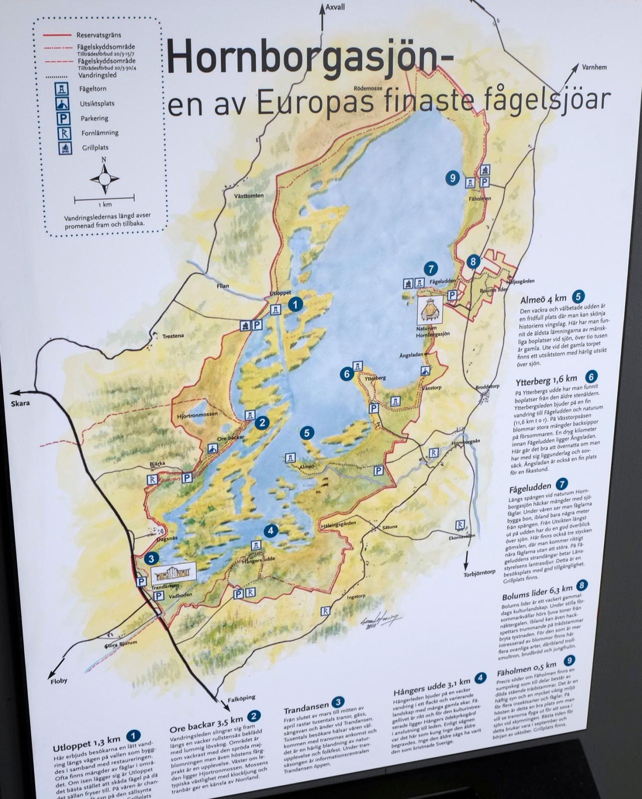Naturum ger besökaren bred information om landskapet och djurlivet omkring Hornborgasjön.