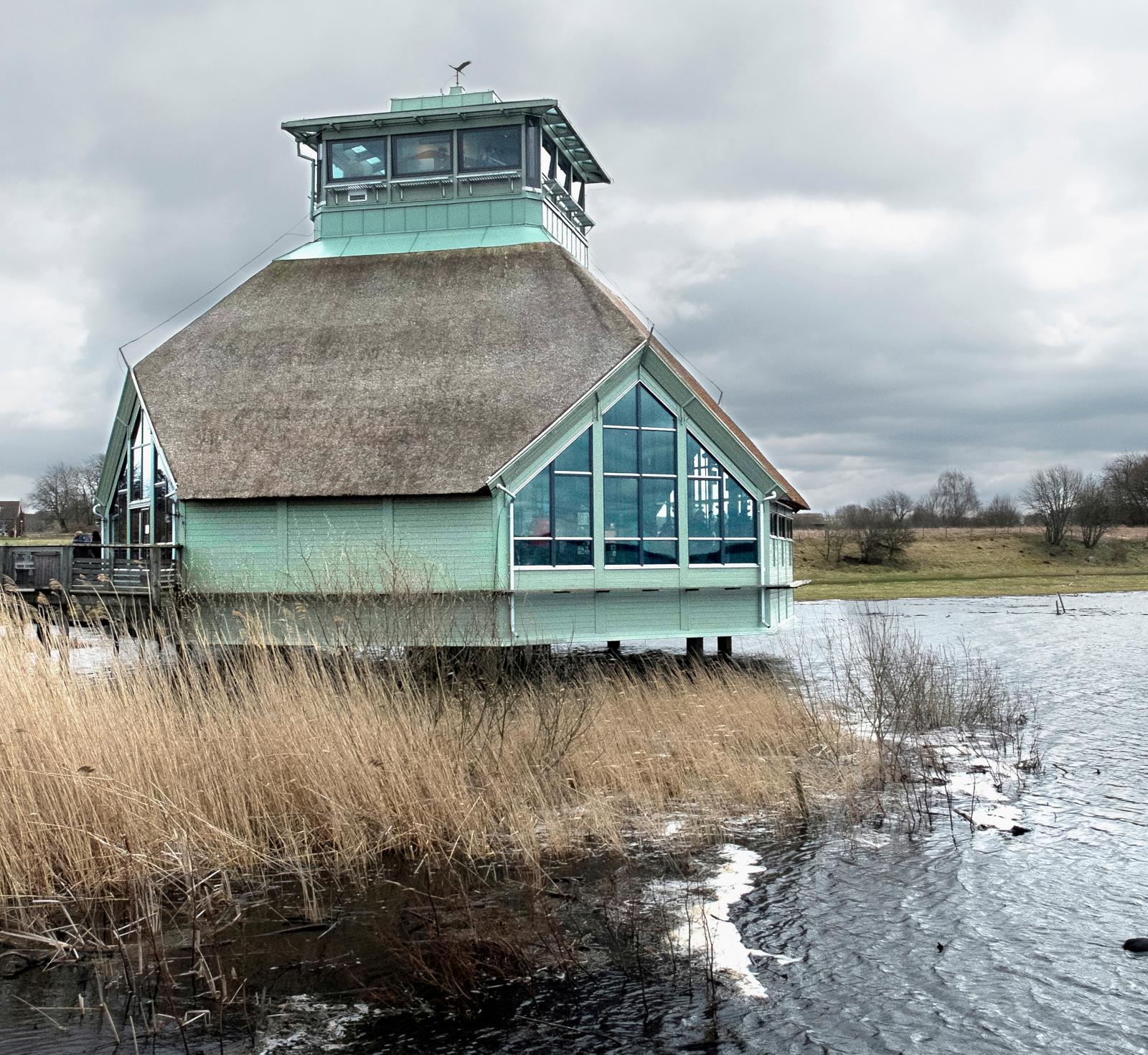 Naturligt kamouflage. Som en hydda på upphöjda pålar står Naturum Hornborgasjön en bit ut i sjön. Vasstaket smälter in i miljön.