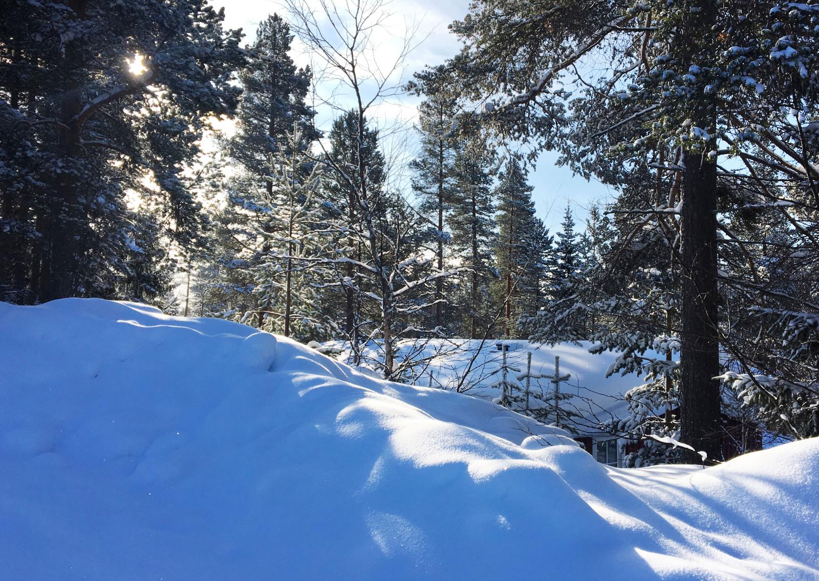 Resa: Idre lockar med camping mitt i backen