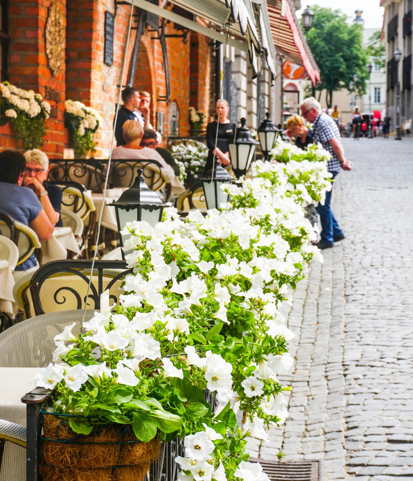 Resa: Vilnius