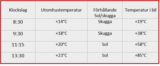 Lämna aldrig ditt husdjur i bilen