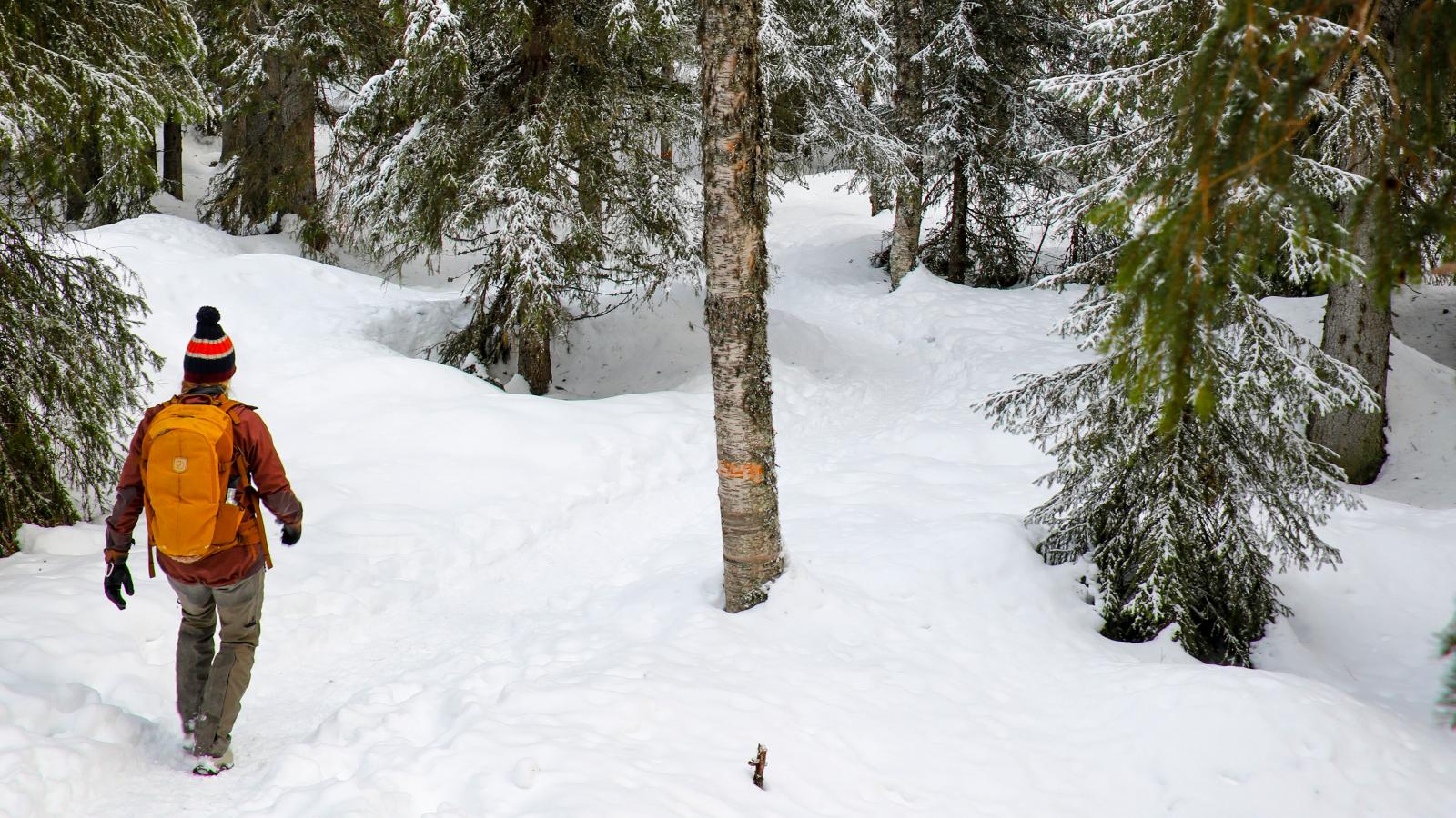 Resa: Vintertips i Dalarna
