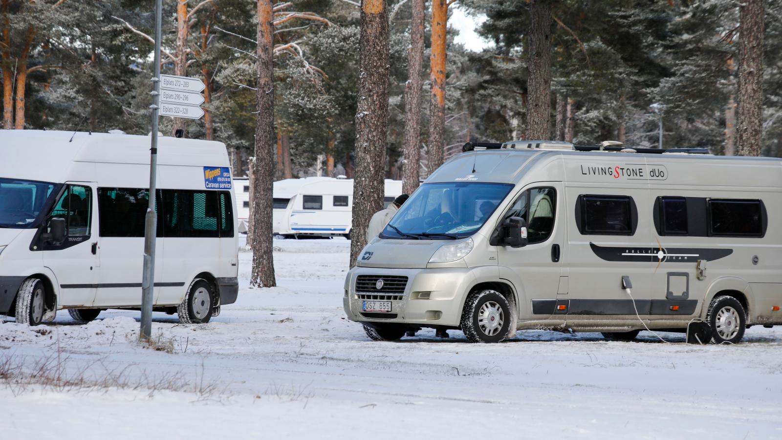 Plåtisarna är extra populära under vintern.