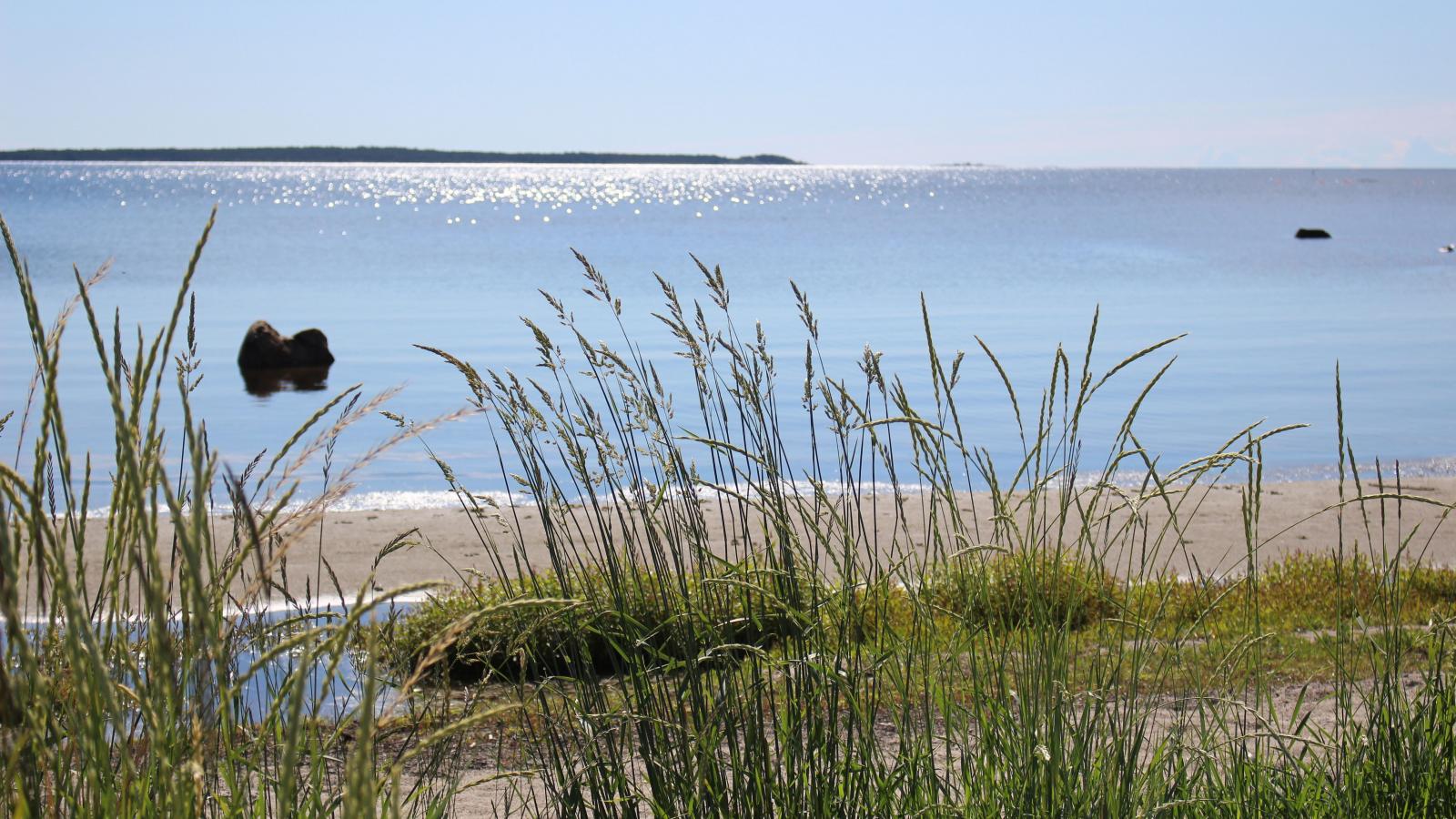 Koffsand ligger bara en kort promenad bort från Mellanfjärdens Camping och gästhamn.