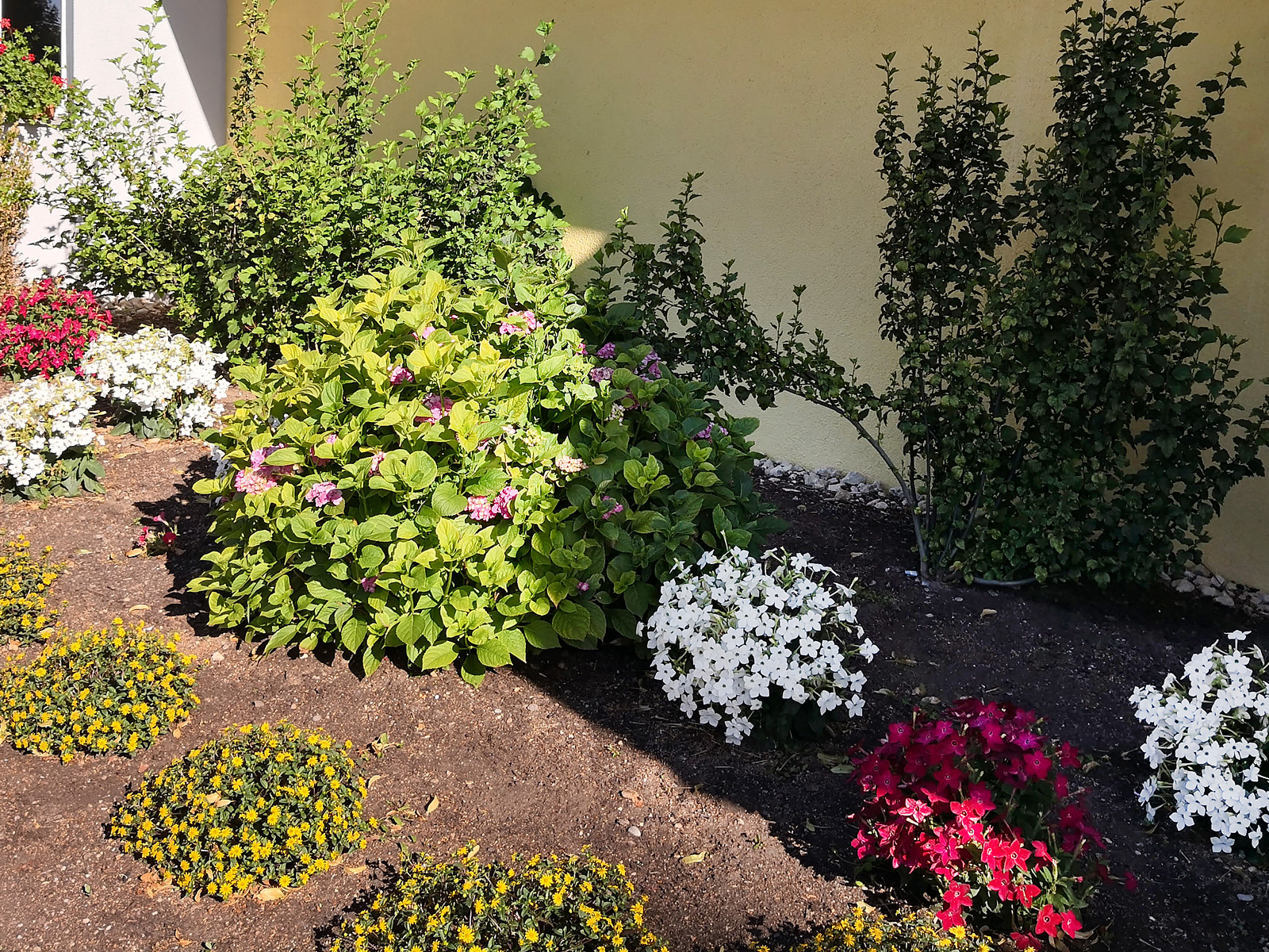 Blomsterprakt utanför servicehuset.