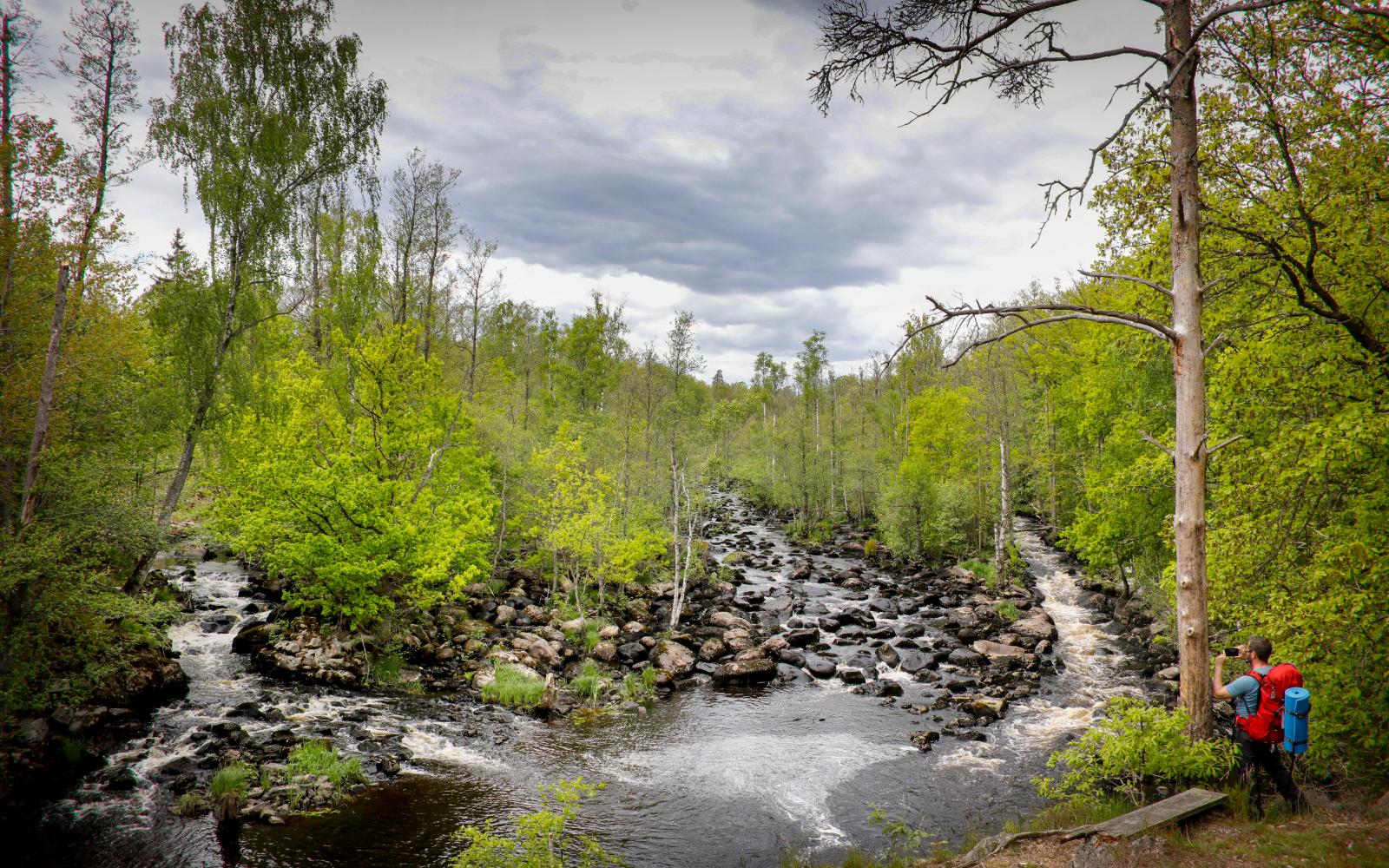 Vackra miljöer i naturreservatet
Mörrumsåns dalgång.