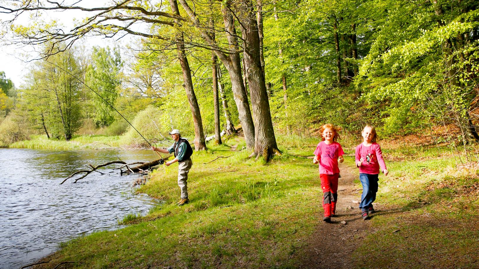 Med 30 km led är Laxaleden utmärkt för dagsturer. Kombinera en eller två dagsetapper eller gå hela sträckan på en enda gång. Mörrumsåns dalgång.