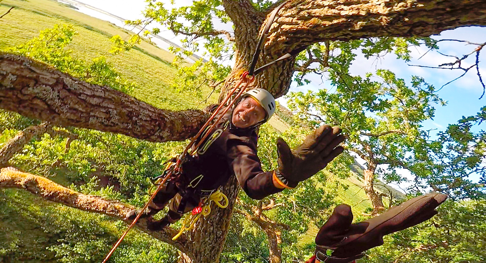 En klätterkurs för arborister ledde till ett nytt intresse.
