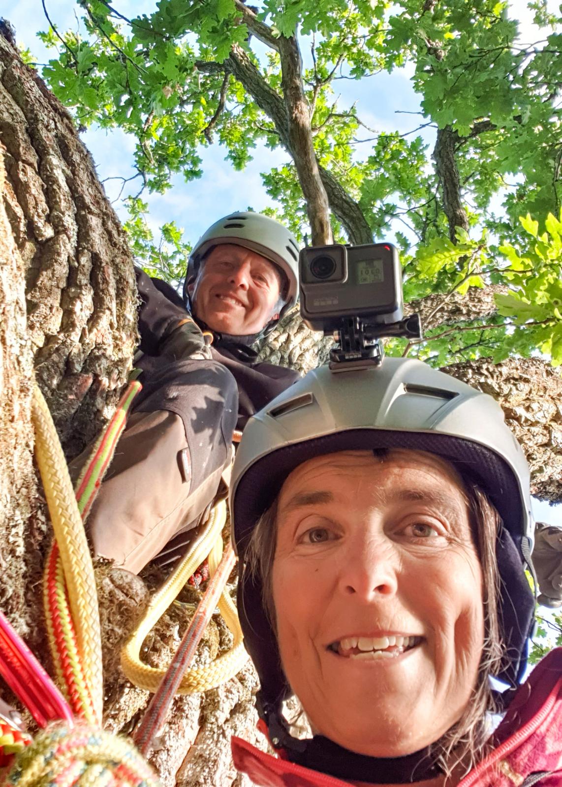 We did it! Här har Anna och Kenneth klättrat 15 meter upp i en ek, under sommarens svemester.