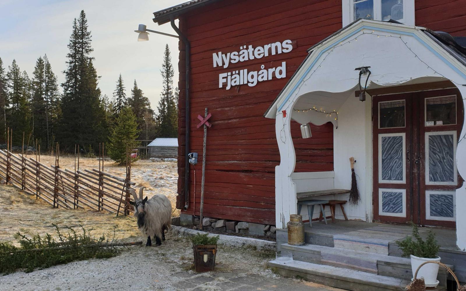 Resa: Sveriges godaste våfflor