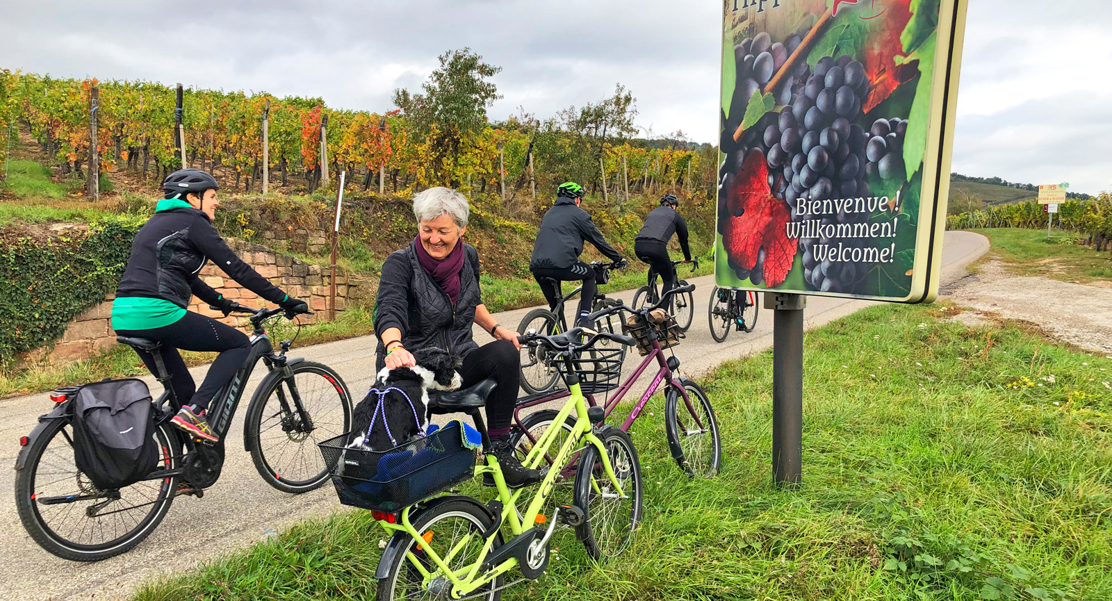 Med cykel tar man sig enkelt mellan de olika byarna på vinrutten. Härlig utsikt på vägen.