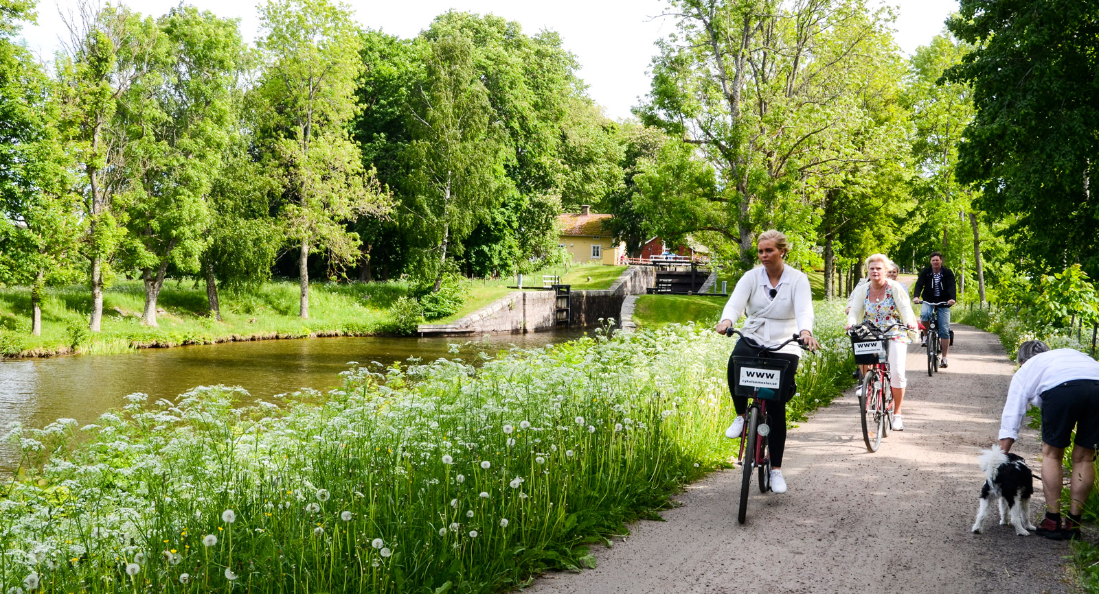 En cykeltur utmed Göta kanal tar dig bort från den livligaste trängseln i Sjötorp.