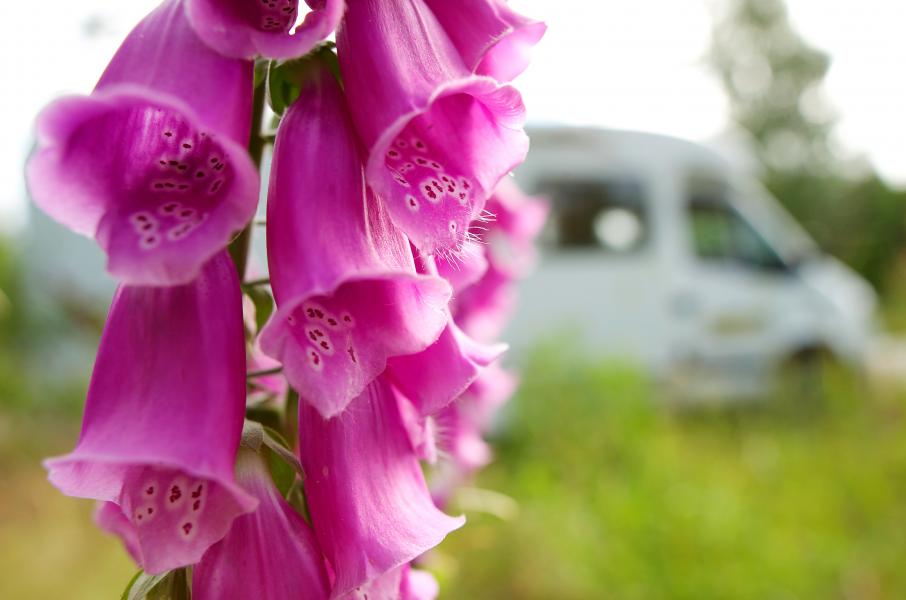 Höjd avgift för ställplatser på Torsö