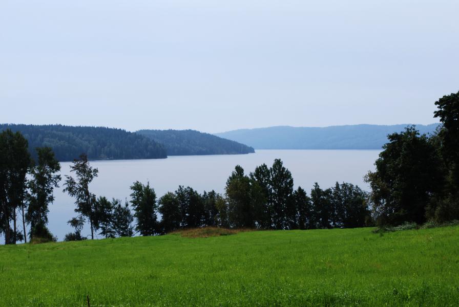 Positivt inför ny ställplats i Sjösala