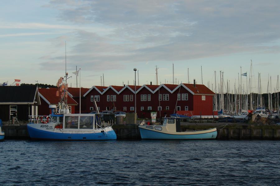 Dansk äppelfestival i oktober